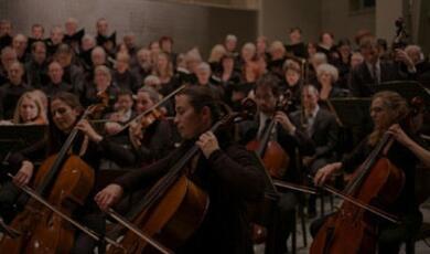 Photo of players in orchestra
