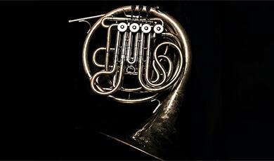 French horn on black background