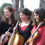 The  Alea String Quartet 