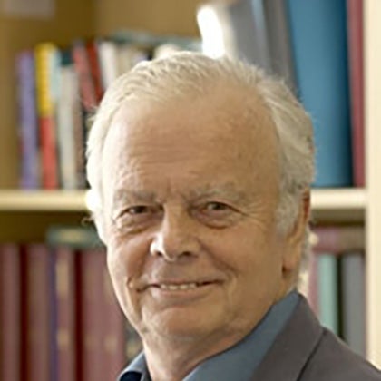 Professor Michael Young 