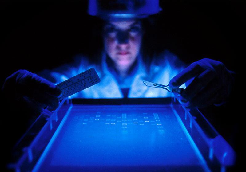 researcher holding pills, scalpel and looking at DNA