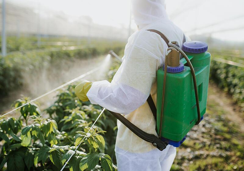 person in hazmat suit spraying crops
