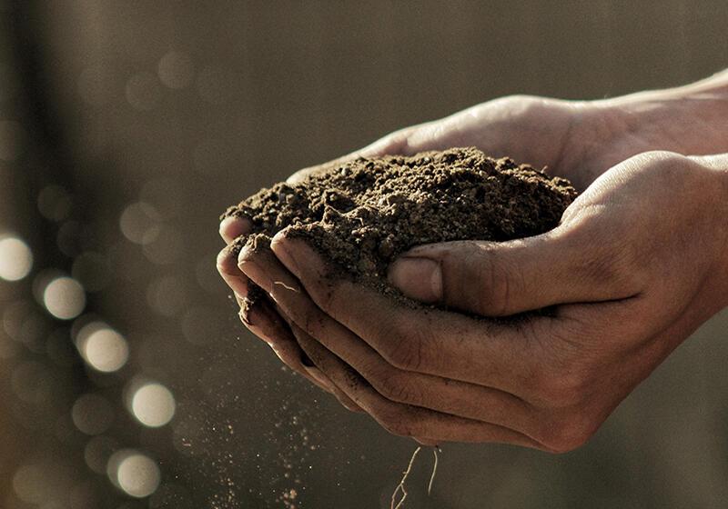 a pair of hands full of soil