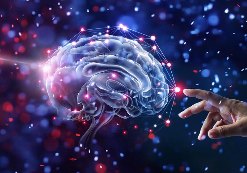 a human finger touching a computer generated image of a human brain