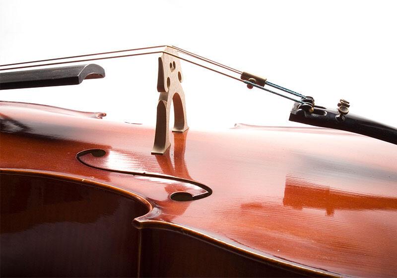 a close up of a violin