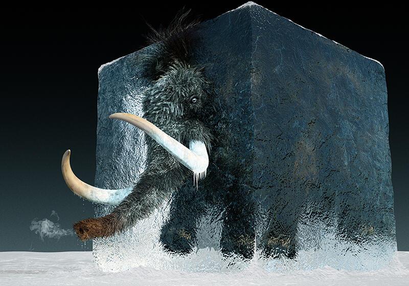 Woolly mammoth emerging from a giant block of ice