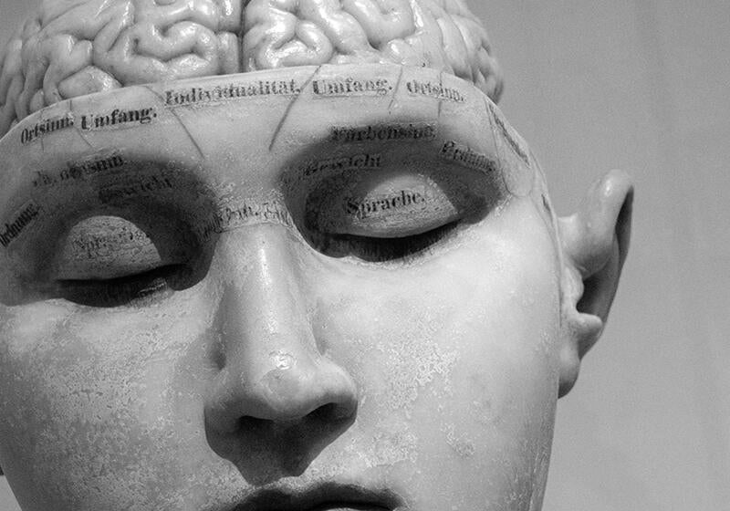 black and white photograph of a model of a head with the brain exposed