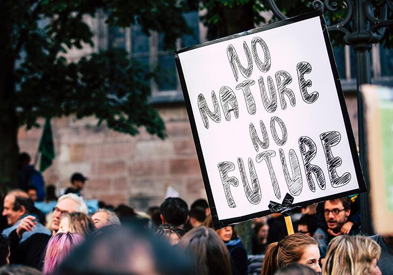 a placard at a protest which reads 'No Nature No Future'