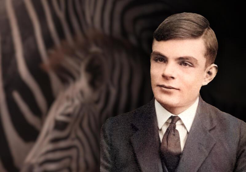 a photograph of Alan Turing next to an image of a Zebra
