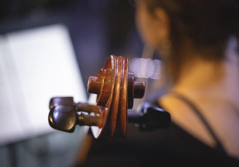 Close-up of the wooden scroll and tuning pegs of a cello, with a musician and a music stand softly blurred in the background