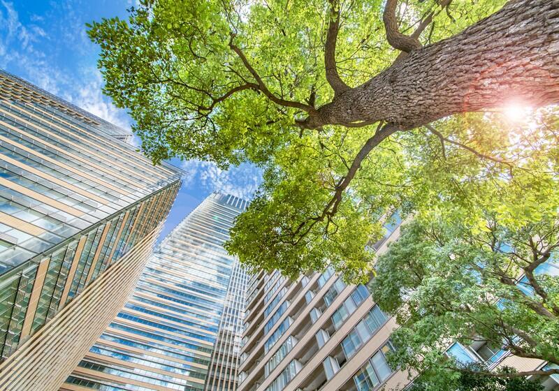 A low-angle, wide-shot looking up at modern skyscrapers and lush green trees against a blue sky with soft white clouds