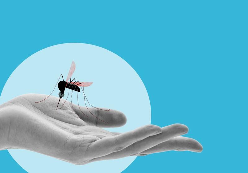 An illustration featuring a stylised, large black mosquito with pink wings resting on an open, palm-up human hand shown in grayscale. The hand and mosquito are centred within a light blue circle, all set against a solid bright blue background