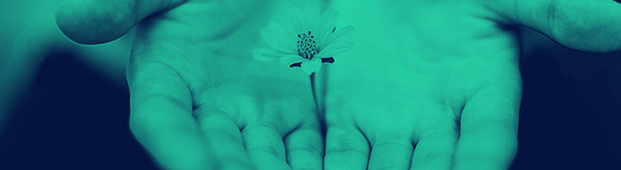 hands open with flower