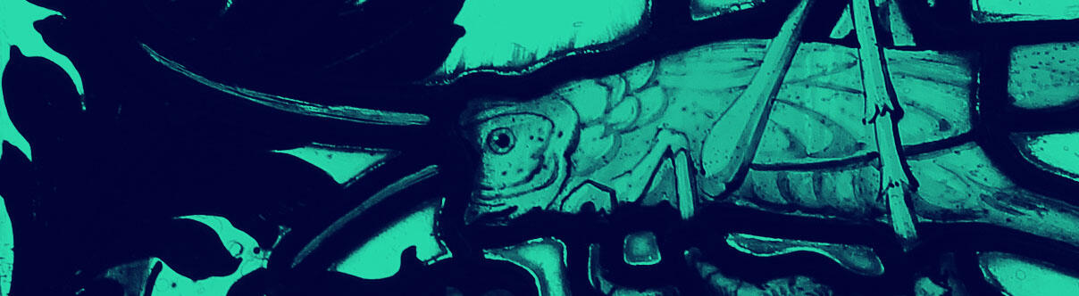 close up of grasshopper in Gresham College window