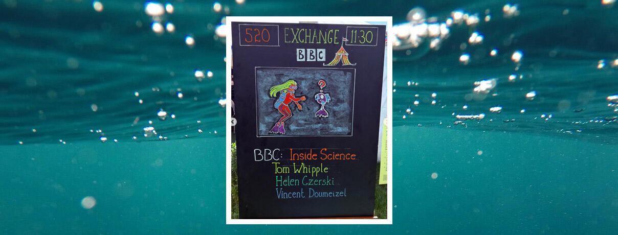 Ocean backdrop with inset of sign at the Hay Festival