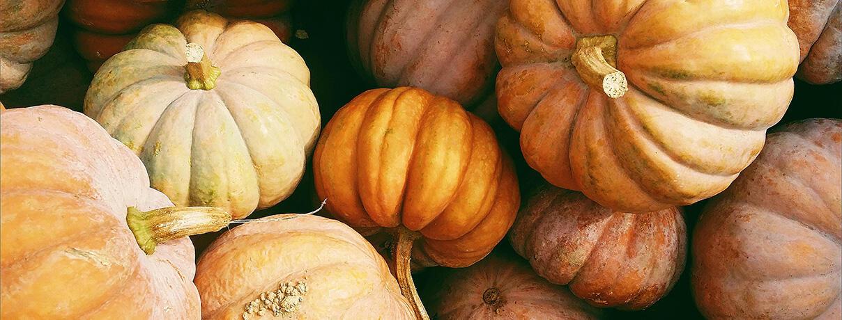 Pile of autumn pumpkins