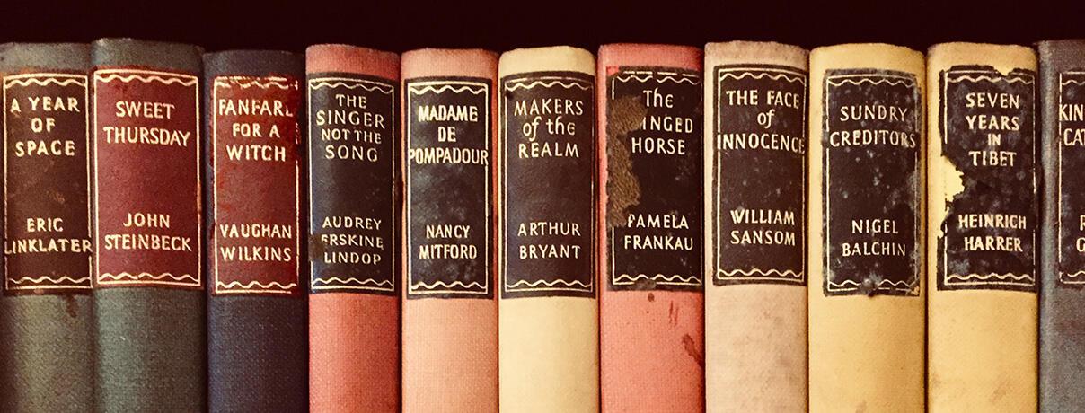 Row of old copies of classic novels with different coloured spines