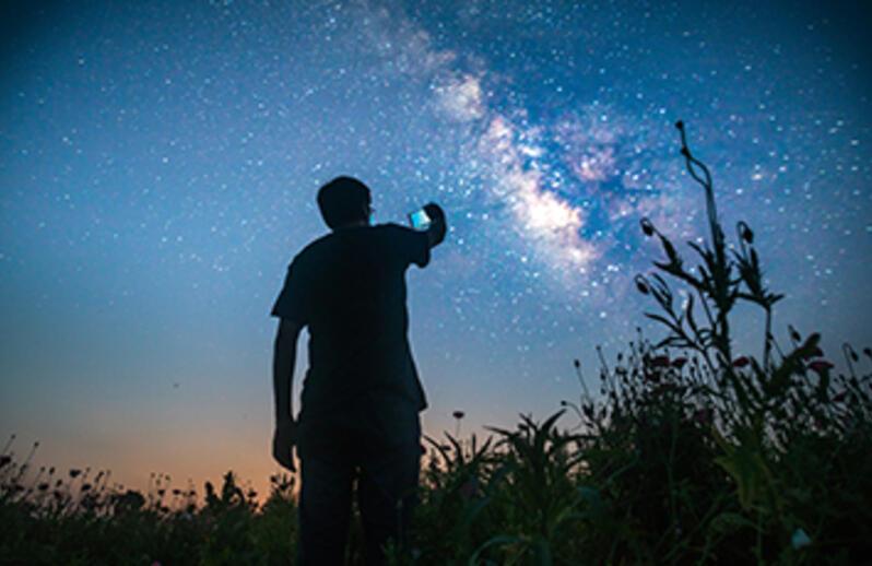 Stylised blue-green photos of a monk, a pixellated dog, a close-up spore, a person on a hill, a toy robot and a banana wrapped in chains