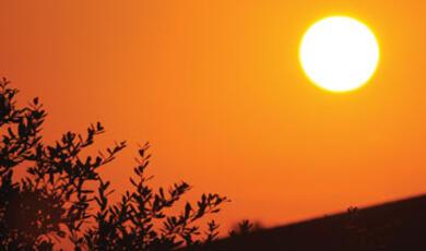 Image of Sun against orange sunset sky