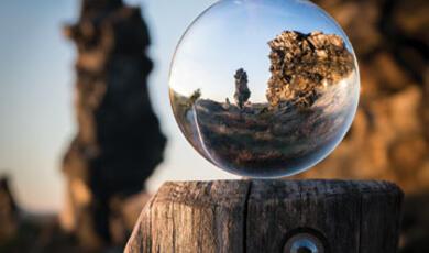 Reflective bubble over tree stump