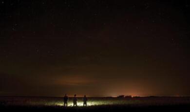 Dark sky