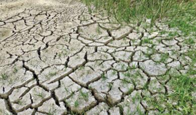 An image of cracked, dry earth, indicative of a drought, with a YouTube play button overlaid