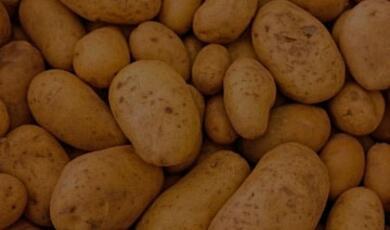 A photo of potatoes