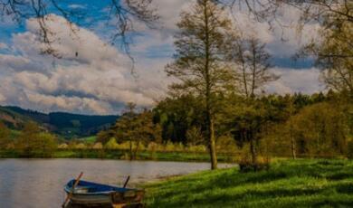 A serene scene of a small, blue rowboat moored by the grassy bank of a calm lake