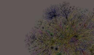 Colourful tree against white background