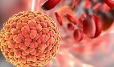 Zika virus