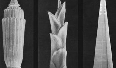 Black and white images of three skyscrapers