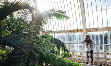 Inside the tropical greenhouse at Kew