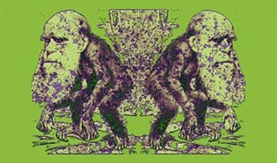 abstract picture of Darwin's face on chimpanzee body