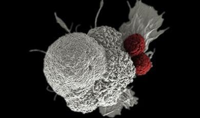 Visual representation of gene therapy
