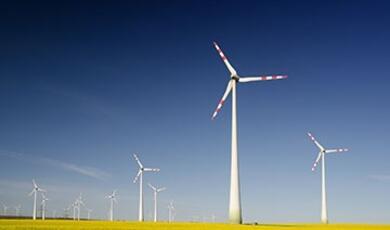 Photograph of wind farm