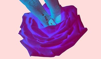 abstract image of fingers touching a rose