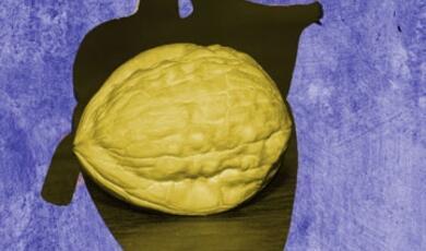 A single, textured walnut shell is centered in the foreground, casting a shadow that resembles the shape of a human heart. The background is a mottled blue and purple
