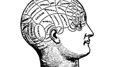 Victorian drawing of human brain