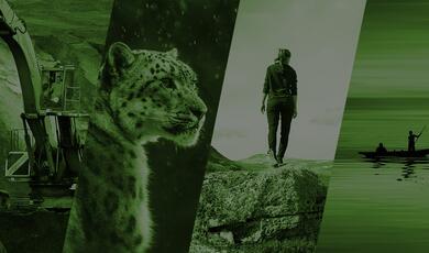 McGlade_SeriesImage2122_1920x660.jpg