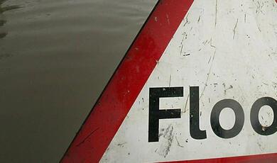 Series_GreenComplexityScienceInnovationandSociety_1920x660.jpg