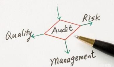 a diagram with the word 'audit' in the middle with quality, risk and management surrounding it
