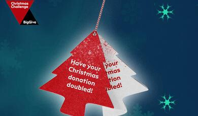 Big Give 2025 banner