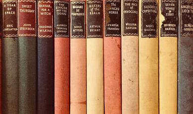 Row of novels with spines showing