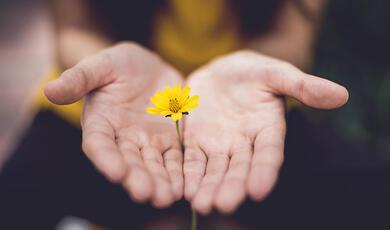 hands open with flower
