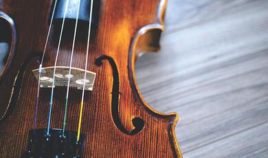 violin