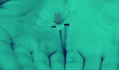Hands palms facing up holding a flower