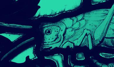 close up of grasshopper in Gresham College window