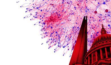 an illustration of a network in pink