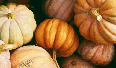 Pile of autumn pumpkins
