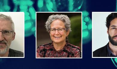 Professors Clive Stafford Smith, Melissa Lane and Daniel Susskind